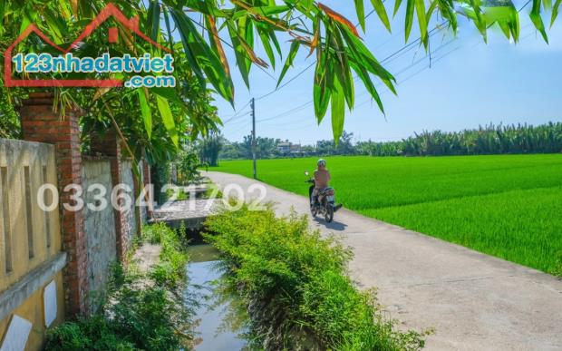 Lô đôi ngang 11m nở hậu view lúa cực chill giáp Resort ven sông Hội An - 2