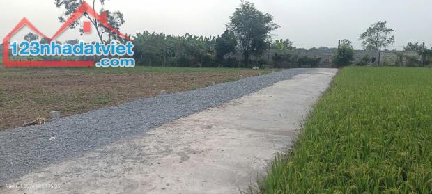 430tr Đất thổ vườn, ôtô gần QL50 - ngã tư Tân Trung, TP Gò Công, Tiền Giang. - 2