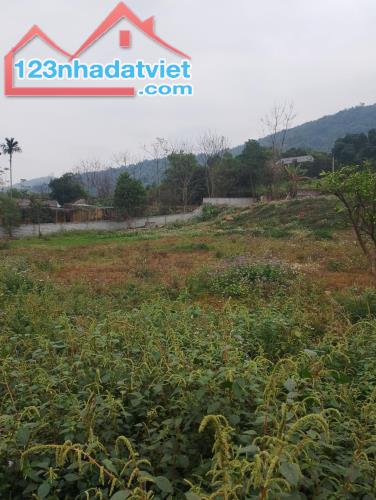 Cần bán đất Lương Sơn Hòa Bình dt: 2736m2, giá 6,8 tỷ - 2