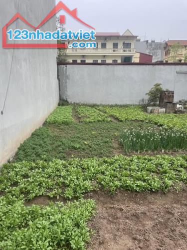 Bán Nhanh Lô Đất Bát Khối Tư Đình, Giá Đầu Tư 6.X Tỷ, 55m2, Ngõ Ô Tô, Gần Phố, Dân Trí Cao - 3