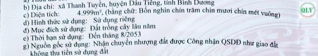 Bán 2,6 héc ta đất sản xuất kinh doanh ở Dầu Tiếng, Bình Dương - 1