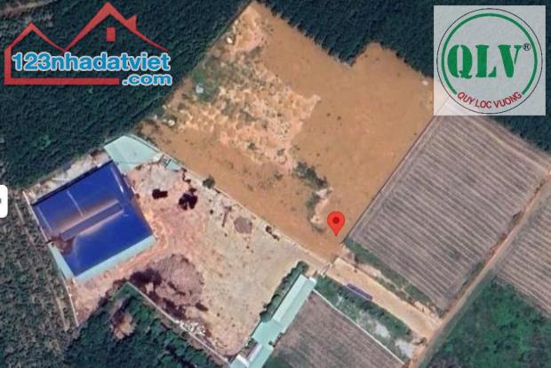 Cho thuê nhà xưởng gần 10.000m2 tại Phú Giáo, Bình Dương - 2