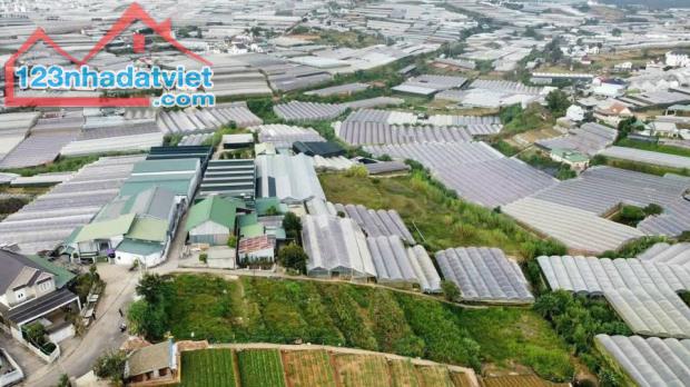 Cần Bán 1101m2 Đất Mặt Tiền Đường Trịnh Hoài Đức, P11, Đà Lạt Có View - 2