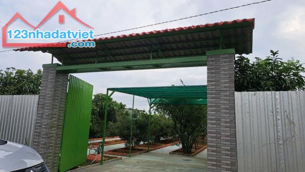 BÁN GẤP TRONG THÁNG LÔ ĐẤT NHÀ VƯỜN NGHỈ DƯỠNG NGAY ĐƯỜNG 167 BÌNH MỸ ĐƯỜNG Ô TO CHỈ 800TR
