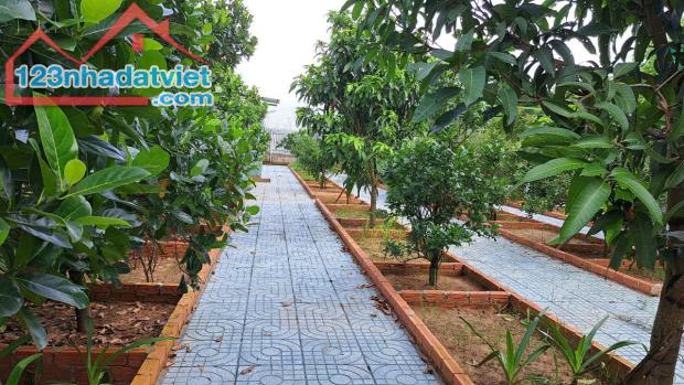 BÁN GẤP TRONG THÁNG LÔ ĐẤT NHÀ VƯỜN NGHỈ DƯỠNG NGAY ĐƯỜNG 167 BÌNH MỸ ĐƯỜNG Ô TO CHỈ 800TR - 3