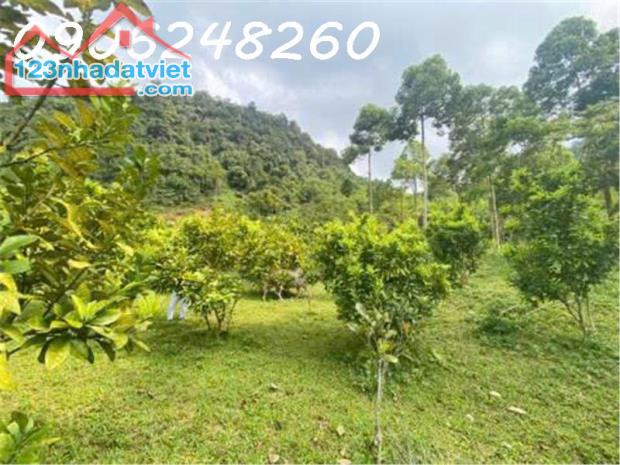 CC cần bán đất thổ cư tại Thị trấn Đà Bắc, 4366 m2, view đẹp hàng hiếm giá rẻ (500k/m2)