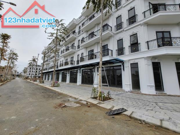 ĐẦU TƯ SINH LỜI LIỀN KỀ 5 ĐƯỜNG 12M KĐT ĐÔNG DƯƠNG RESIDENCE – ĐỨC THƯỢNG - 2