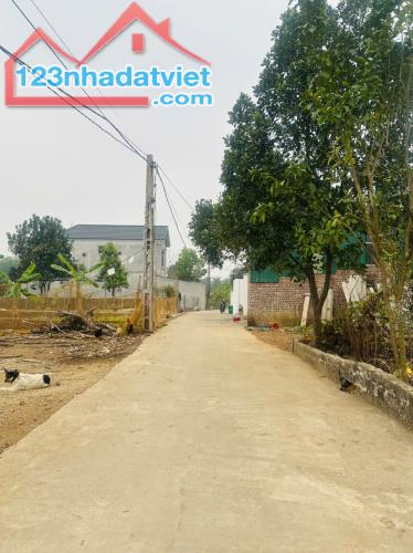 ĐẤT SEN TRÌ, BÌNH YÊN, 158M2 GIÁ DẦU TƯ - 3