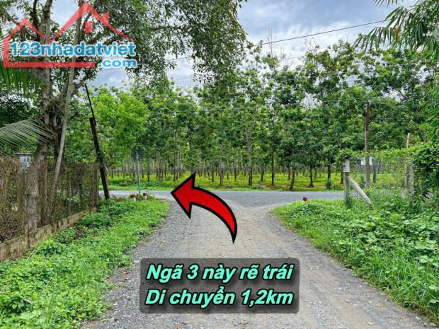 Thạnh Đức-Gò Dầu 1.5ha sẵn 2480m2 thổ cư đất kế kênh mát mẻ đường oto tới đất giá chỉ - 1