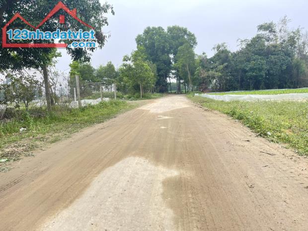Chỉ 8xx triệu  có lô đất đẹp xóm trường phú, Nghi Trường. - 1