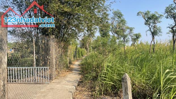 b.á.n nhanh 2.000m2 đất có 500m2 thổ cư giá 1,2 tỷ hết đất P Long Hòa, TP Gò Công, TG. - 2