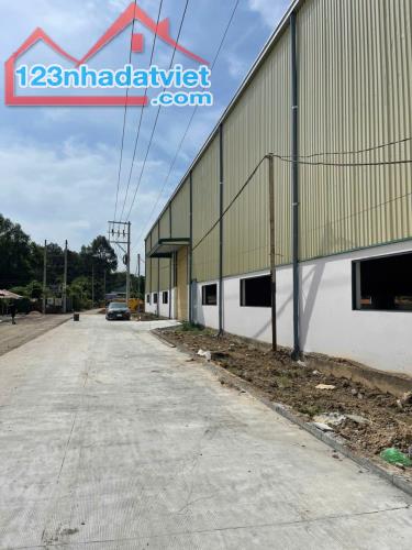 Cho Thuê 4.000m2 Nhà Xưởng Ngoài KCN Bến Cát Bình Dương Giấy Tờ Đầy Đủ - 1