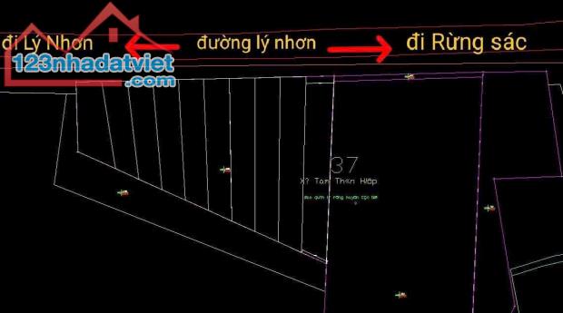 Bán lô đất đẹp mặt tiền lý Nhơn cần giờ HCM. DT: 5049m2 giá 16 tỷ - 2