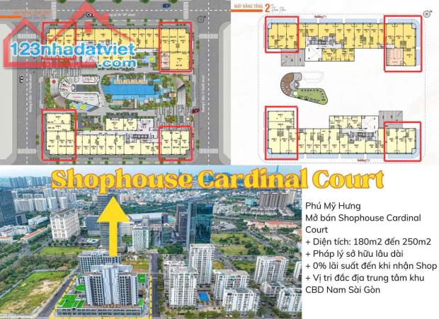 GIỎ HÀNG SHOPHOUSE PHÚ MỸ HƯNG NĂM 2025 - 3