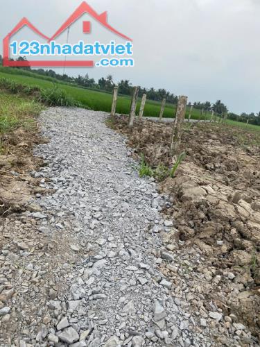 Bán đất chính chủ ngang 9,22m nở hậu 9,9m dài 63,54m tổng diện tích 704,7mv đất cây lâu - 2