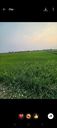 CHÍNH CHỦ CẦN BÁN ĐẤT Ở ĐƯỜNG  QUỐC LỘ N2 - XÃ LONG THẠNH - THỦ THỪA - LONG AN. - 1