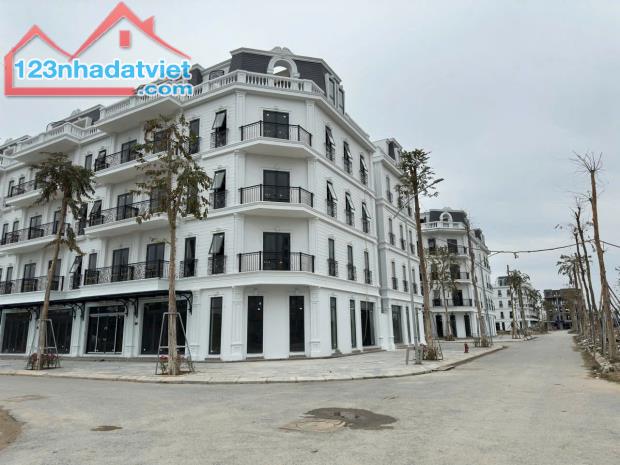 SHOPHOUSE MẶT ĐƯỜNG 30M LIỀN KỀ 1 KĐT ĐÔNG DƯƠNG RESIDENCE – ĐỨC THƯỢNG - 3