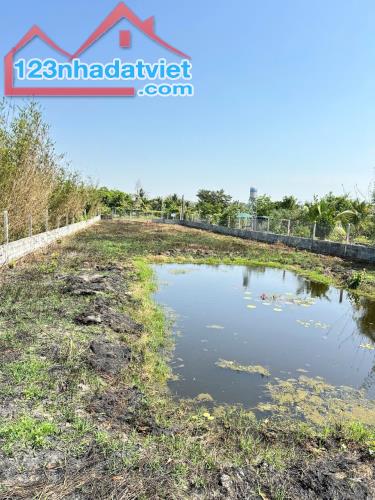 ĐẤT ĐẸP- GIÁ TỐT- CHÍNH CHỦ Cần Bán Nhanh Lô Đất Tại Huyện Củ Chi, TP HCM - 2