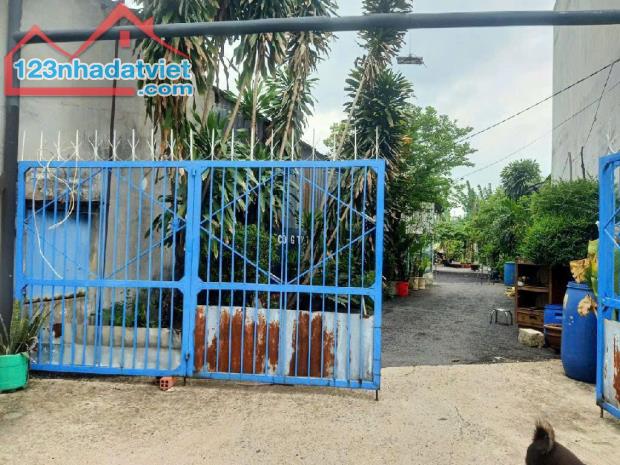 NHÀ VƯỜN  DT 500M FULL THỔ CƯ (10x50),ĐƯỜNG TRƯỚC NHÀ 8M,CHỦ GẤP BÁN GIÁ SIÊU RẺ,QUẬN 9 - 4