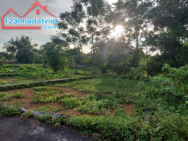 Cần bán gấp lô đất khu cánh chủ chỉ nhỉnh 2 tỷ - 2