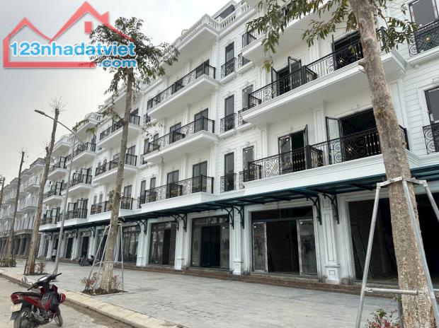 CẦN BÁN LK5 – 1x KHU ĐÔ THỊ ĐÔNG DƯƠNG RESIDENCE – ĐỨC THƯỢNG - 2