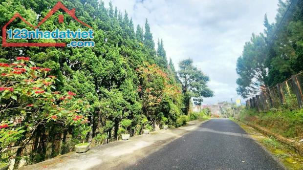 Cần bán Lô Đất nền Biệt Thự view đẹp đường Hoàng Hoa Thám, P10, Đà Lạt 480m2 giá chỉ 12 tỷ