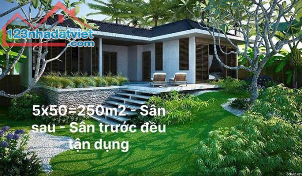 CẦN BÁN GẤP LÔ ĐẤT 250M2 CÓ THỔ CƯ 100M NGAY SAU LƯNG ỦY BAN - 3