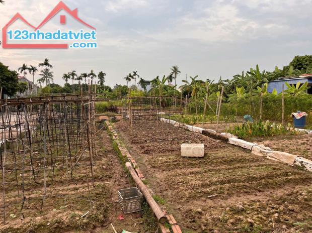 Chính chủ cần bán Nhanh Lô Đất Tại  Quán Trang, Bát Trang, An Lão, Hải Phòng. - 1