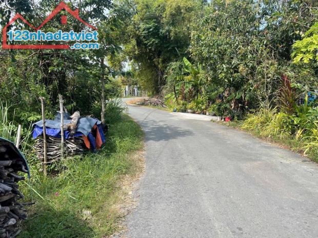 Cần tiền bán gấp miếng đất thổ cư 123m2 ở xã Tân An Hội - Củ Chi giá 600 triệu. - 4