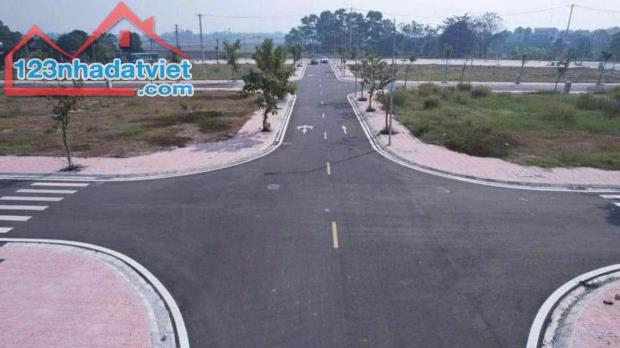 Đất đẹp- giá tốt cần bán nhanh lô đất đẹp vị trí tại huyện Mê Linh, TP Hà Nội - 3