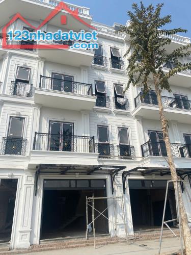 BÁN 2 CĂN LK4 HƯỚNG ĐÔNG NAM, KHU ĐÔ THỊ ĐÔNG DƯƠNG RESIDENCE – ĐỨC THƯỢNG - 3