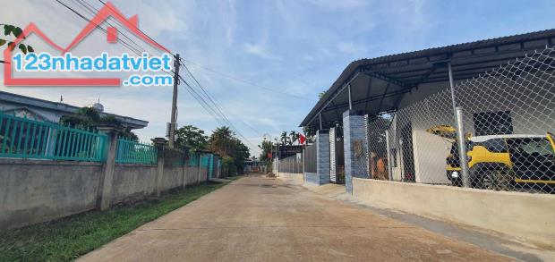 Đất thị trấn Ea Pok Cư Mgar gần Tỉnh Lộ 8 ngay đèn đỏ đi vào - 2
