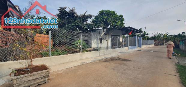 Đất thị trấn Ea Pok Cư Mgar gần Tỉnh Lộ 8 ngay đèn đỏ đi vào - 3