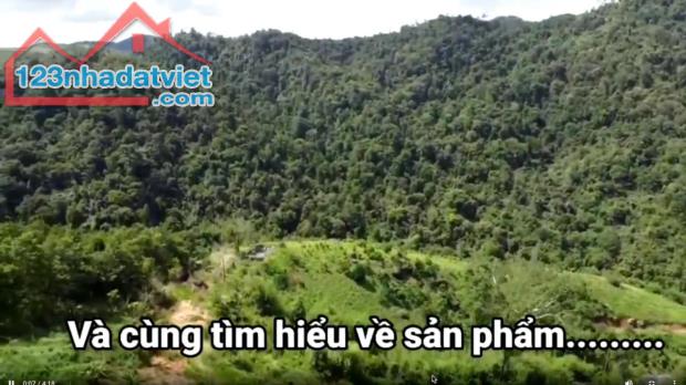 ✨PHẢI NHANH MỚI KỊP ✨ Đất lâm nghiệp làm khu sinh thái Lâm Đồng 72ha 45 tỷ có đàm phán
