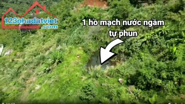 ✨PHẢI NHANH MỚI KỊP ✨ Đất lâm nghiệp làm khu sinh thái Lâm Đồng 72ha 45 tỷ có đàm phán - 1