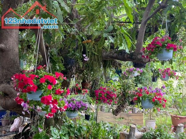 Cho thuê quán cafe  3 mặt tiền số 5 Nguyễn Khuyến, phường Hòa Khánh Nam - 1