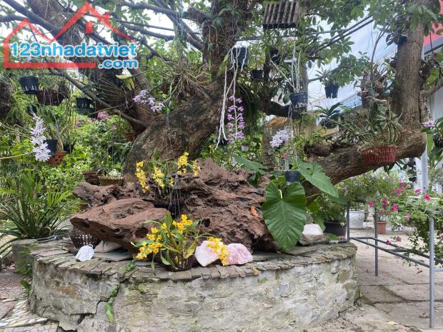 Cho thuê quán cafe  3 mặt tiền số 5 Nguyễn Khuyến, phường Hòa Khánh Nam - 2