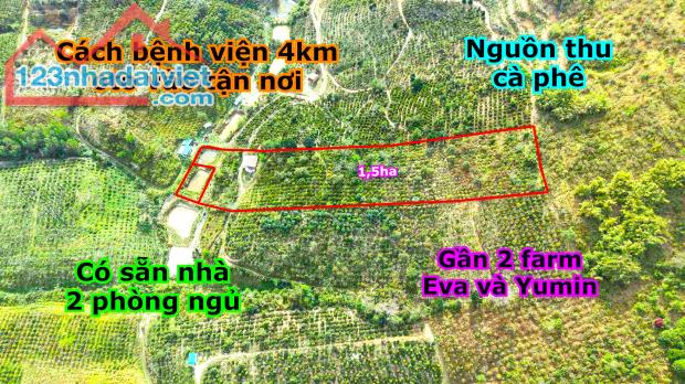 Đất rẫy thành phố giá rẻ cần bán gấp 1,5ha nguồn thu cà phê, nước tưới thoải mái