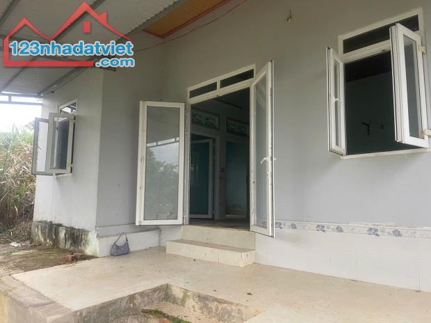 Đất rẫy thành phố giá rẻ cần bán gấp 1,5ha nguồn thu cà phê, nước tưới thoải mái - 4