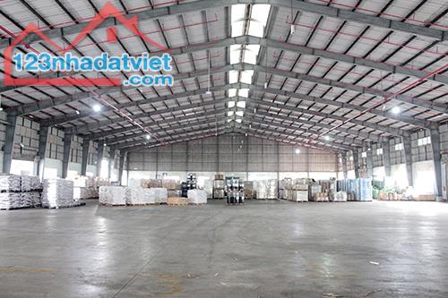 CHO THUÊ KHO DỊCH VỤ – DIỆN TÍCH LINH HOẠT – GIÁ CẠNH TRANH - 2