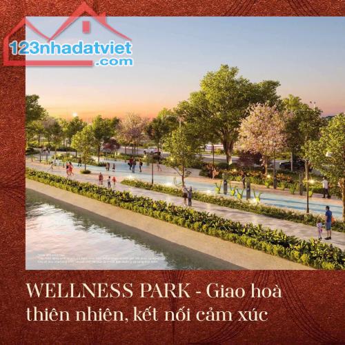 VỐN BAN ĐẦU CHỈ 9 TỶ SỞ HỮU NGAY NHÀ lIỀN KỀ 88M2 TẠI VINHOMES WONDER PARK ĐAN PHƯỢNG - 2