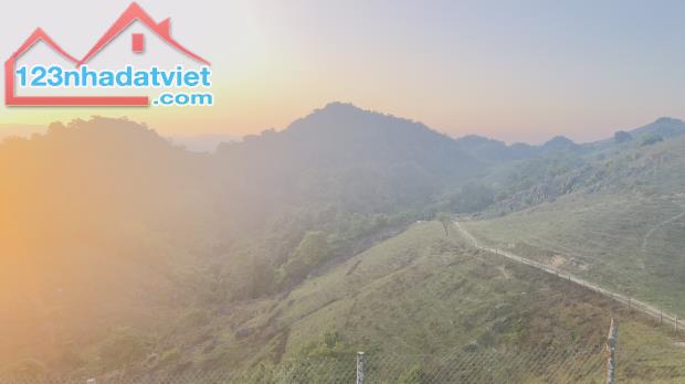 Bán đất 3ha Mộc Châu - View săn mây Pha Luông, giá tốt 1,4 tỷ - 4