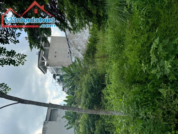 Đât phân lô, Bưng Ông Thoàn, 450m2, đường 10m, ngay Liên Phường, giá 18.5ty