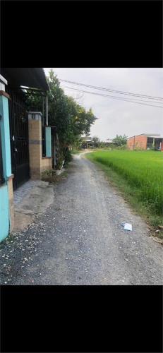 CHÍNH CHỦ Cần Bán Nhanh Đất Vị Trí Đẹp Tại Xã Hòa Khánh Đông, Huyện Đức Hòa, Long An - 3