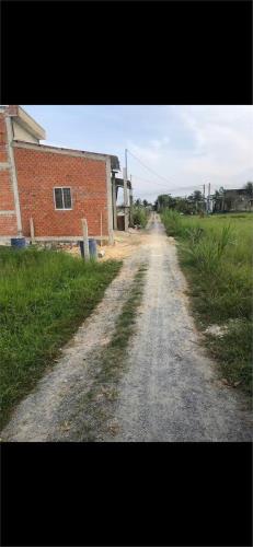 CHÍNH CHỦ Cần Bán Nhanh Đất Vị Trí Đẹp Tại Xã Hòa Khánh Đông, Huyện Đức Hòa, Long An - 4
