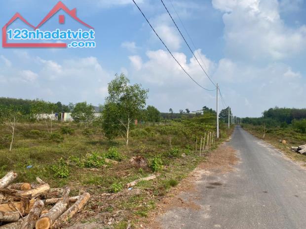 BÁN NHANH lô đất 268 mặt tiền nhựa 5m Thị trấn Long Hòa Dầu Tiếng