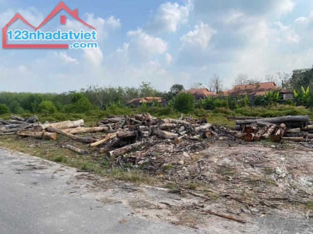 BÁN NHANH lô đất 268 mặt tiền nhựa 5m Thị trấn Long Hòa Dầu Tiếng - 1
