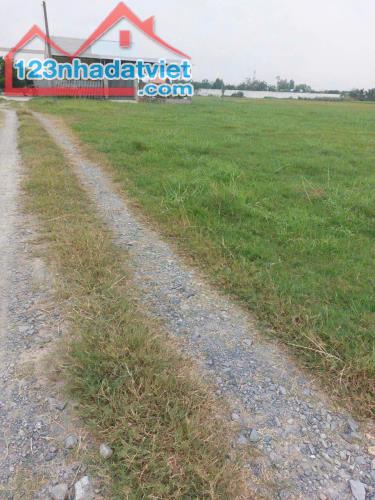 Bán đất giá mềm 5x31m( 155m2) giá 890 triệu , xã Hòa Khánh Đông, Đức Hòa, Long An. - 3