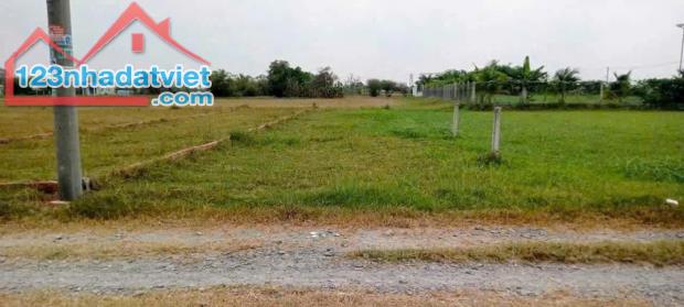 Bán đất giá mềm 5x31m( 155m2) giá 890 triệu , xã Hòa Khánh Đông, Đức Hòa, Long An. - 4