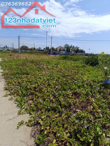 Ốc đảo - hàng hiếm tại Đông Hải, Phan Rang - Tháp Chàm, 16 triệu / m2, 101.4 m2, gần các - 3